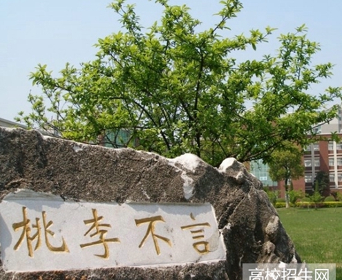 南充师范学校音乐学专业