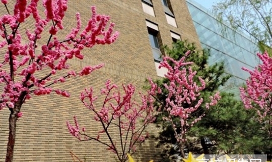 四川哪些大专学校的数学教育专业好