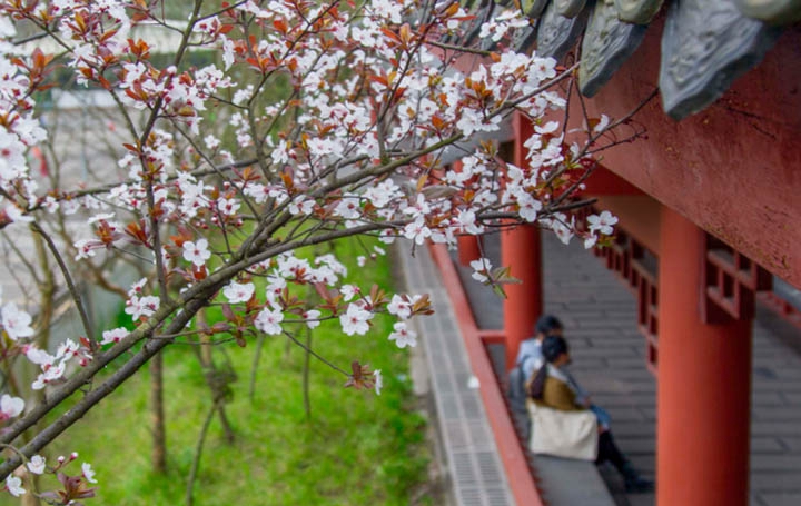 川南幼儿师范高等专科学校2019招生录取分数线