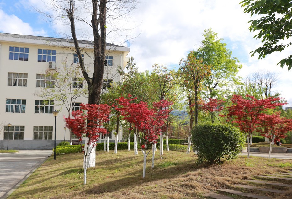 2019年川北幼儿师范高等专科学校寝室宿舍条件与学校食堂环境图片