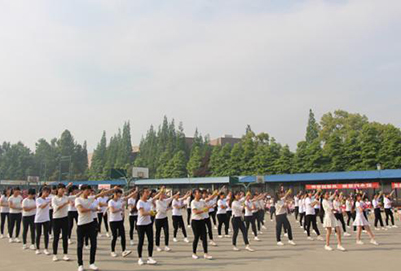 成都职业学校的地址在哪里?